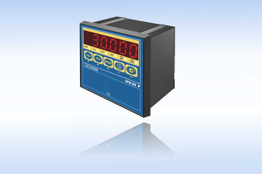 IPE50面板式固定称重仪表